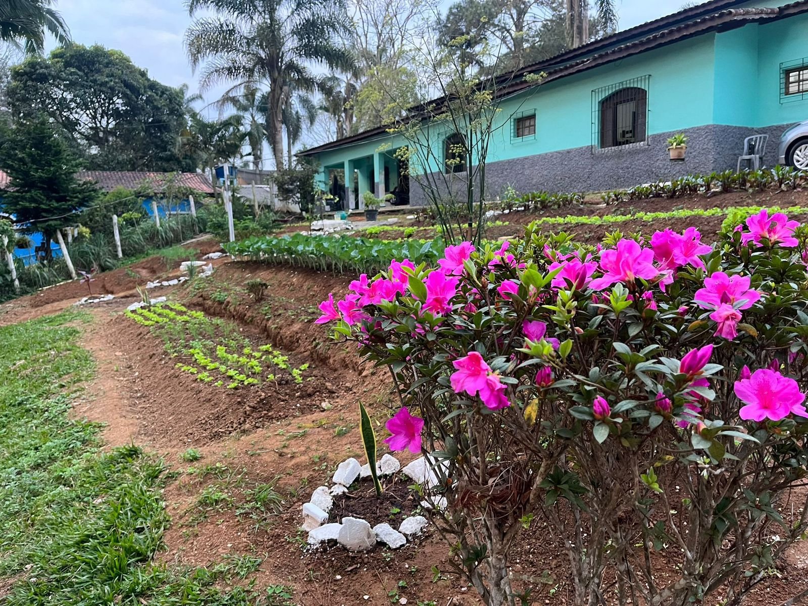 clínica de recuperação em Suzano